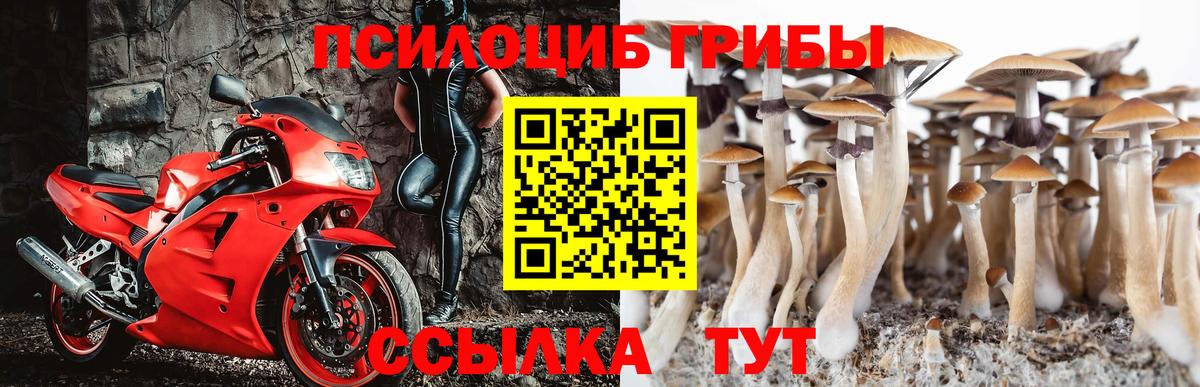 Псилоцибиновые грибы Psilocybe  Вход с VPN  Галлюциногенные грибы ЛСД  Санкт-Петербург 